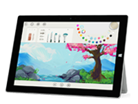 淳化Surface 无法开启、Windows 无法启动或电池无法充电